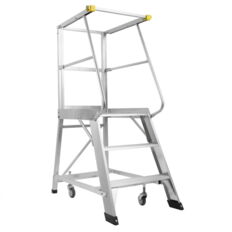 Platform ladder